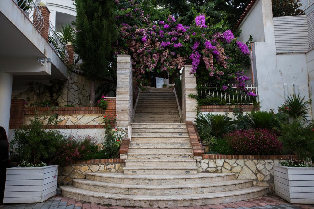 גולם Vila Arber מראה חיצוני תמונה